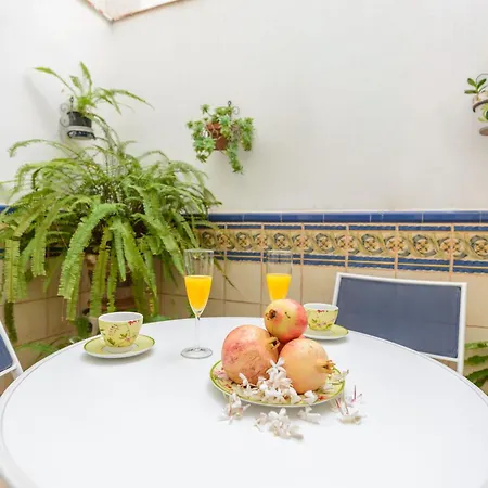 El Carmen Con Patio Y Parking Apartment Malaga